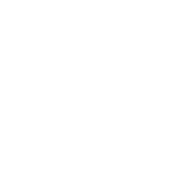 Syntrx Solutions, LLC
